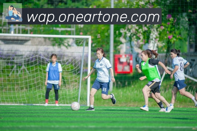 开云kaiyun网页版APP 封面图