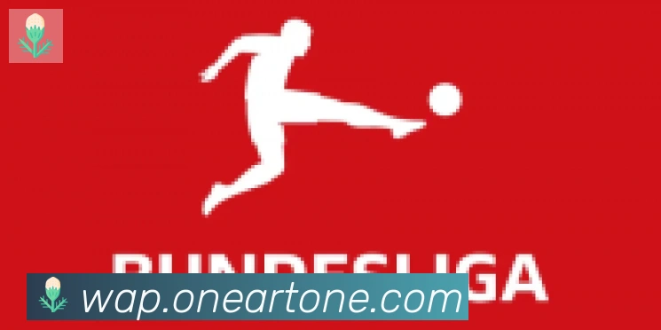 开云kaiyun网页版合作伙伴